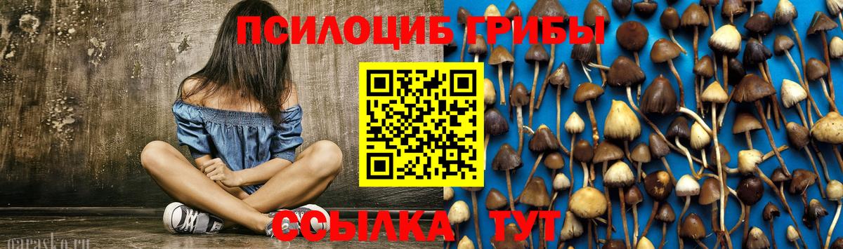 Псилоцибиновые грибы прущие грибы  Галлюциногенные грибы GOLDEN TEACHER  Вход с VPN  Ливны 